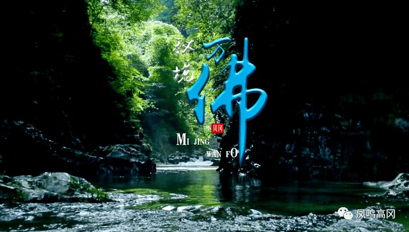 针织裙